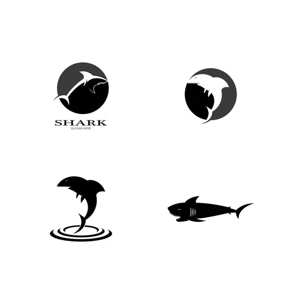 Shark Logo Vector Template 디자인 — 스톡 벡터