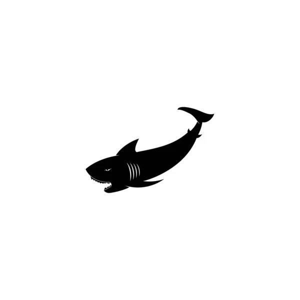 Shark Logo Vektör Şablonu Çizim Tasarımı — Stok Vektör