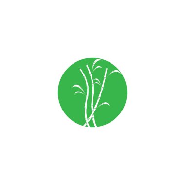 Şeker kamışı logo vektörü
