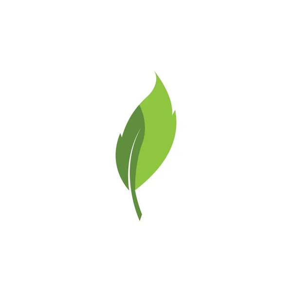 Eco Icona Verde Foglia Vettoriale Illustrazione Isolata Vettore — Vettoriale Stock