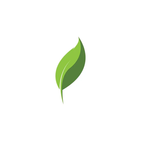 Eco Ikon Gröna Blad Vektor Illustration Isolerad Vektor — Stock vektor