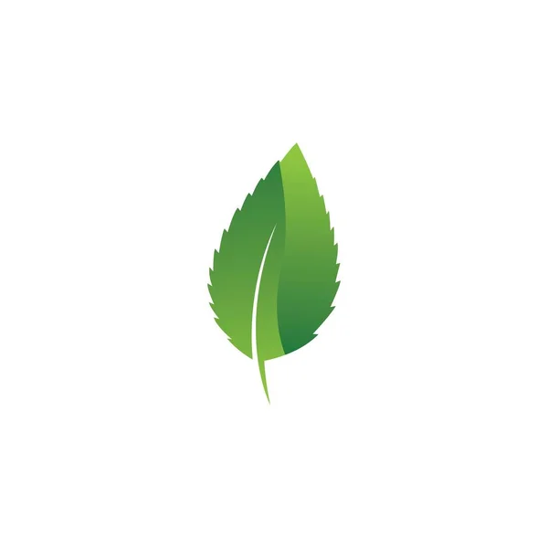 Eco Icono Verde Hoja Vector Ilustración Aislada Vector — Archivo Imágenes Vectoriales