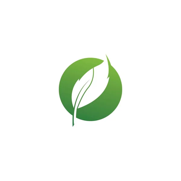 Eco Icono Verde Hoja Vector Ilustración Aislada Vector — Vector de stock