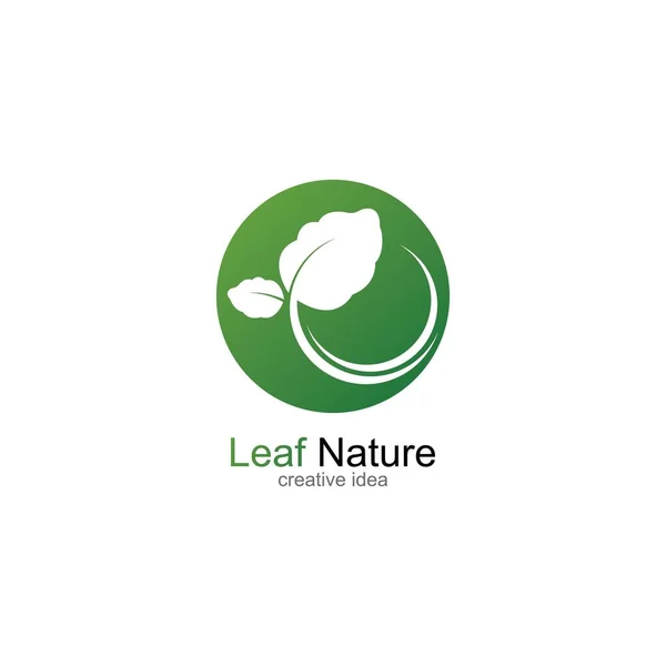 Logos Von Grünen Blättern Ökologie Naturelement Vektor Symbol — Stockvektor