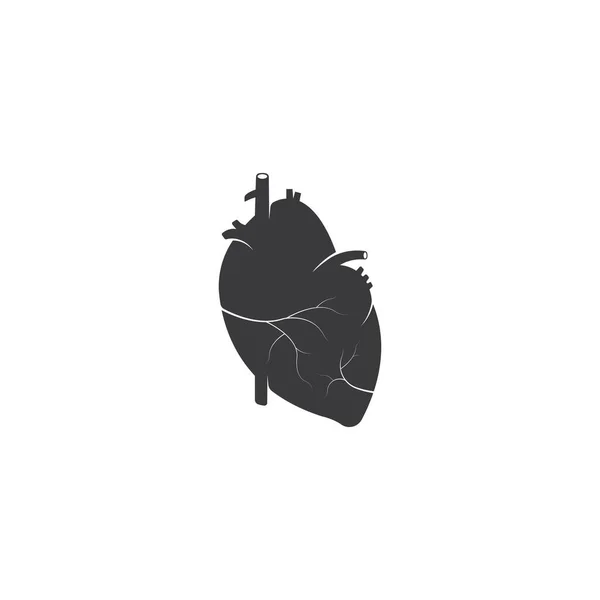 在白色背景下孤立的人类心脏医学载体图解 — 图库矢量图片