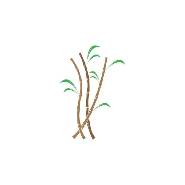 Planta Caña Azúcar Vector Logo — Vector de stock