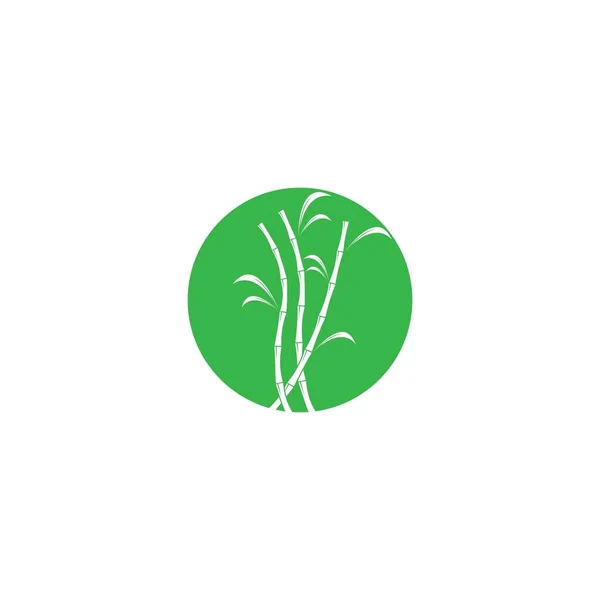 Planta Caña Azúcar Vector Logo — Archivo Imágenes Vectoriales