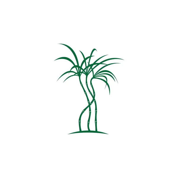 Planta Caña Azúcar Vector Logo — Vector de stock