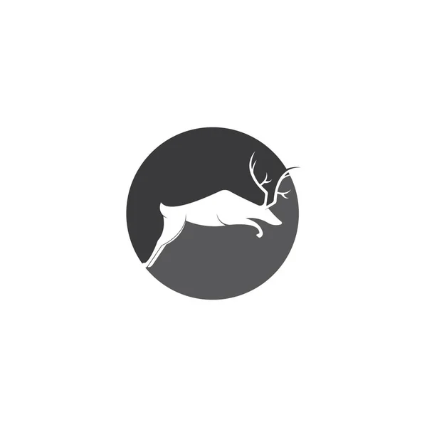 Template Vector Van Het Deer Logo — Stockvector