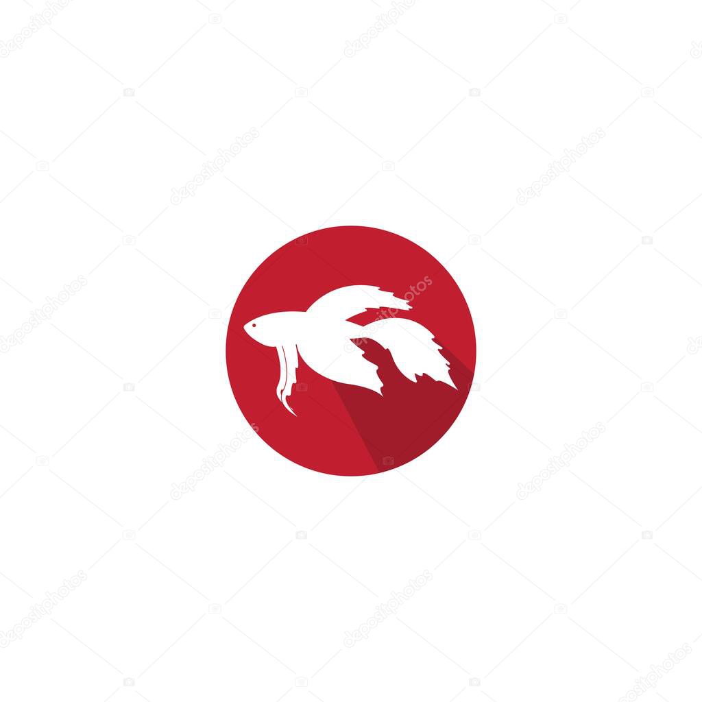 Beautiful betta fish vector
