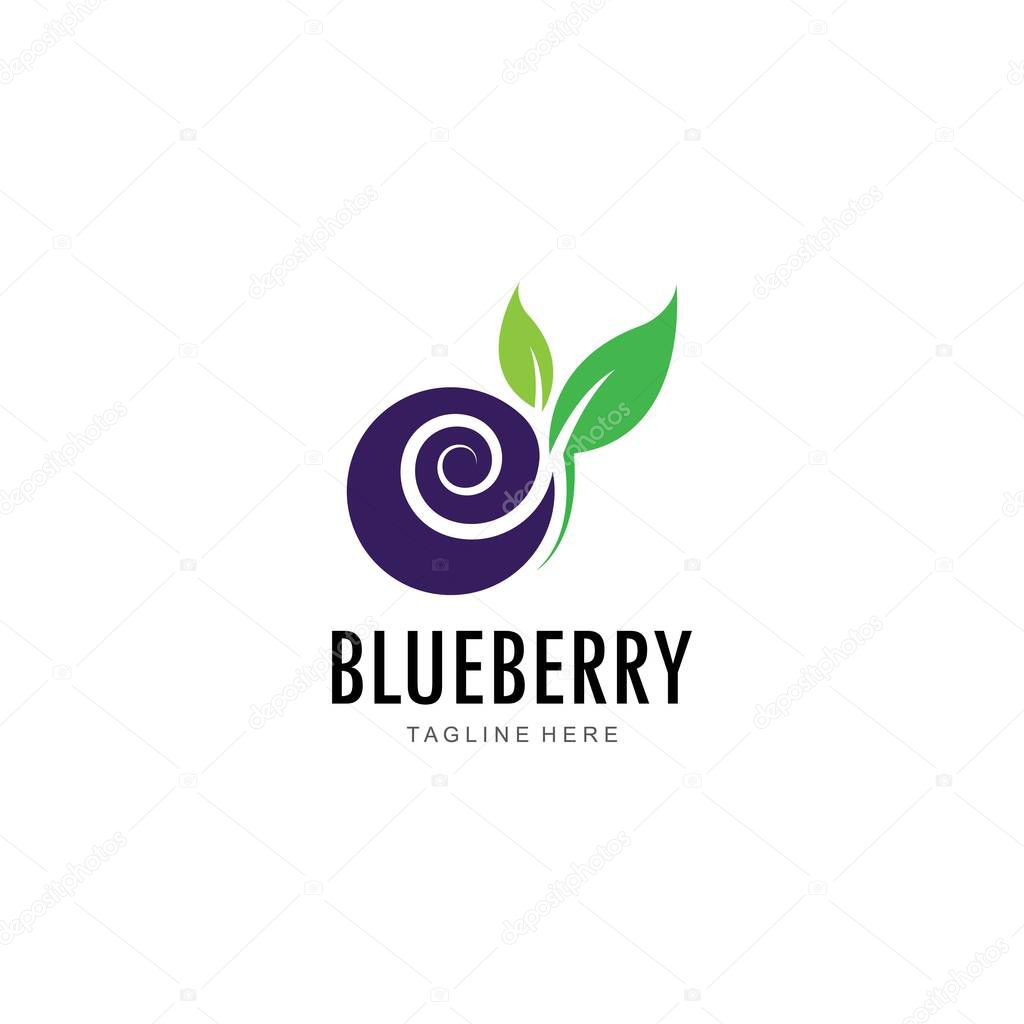 Blueberry logo vector template icon illustration design