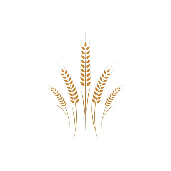 Agriculture Wheat Logo Template Vector Icon Design — Stock Vector