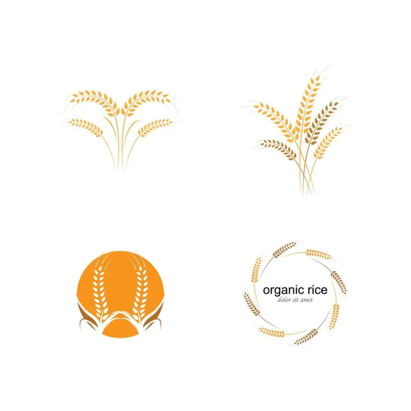 Agricultura Trigo Logotipo Plantilla Vector Icono Diseño — Vector de stock