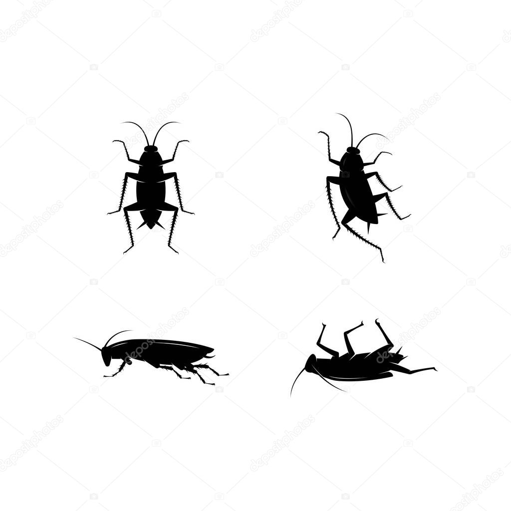 Cockroach logo vector template