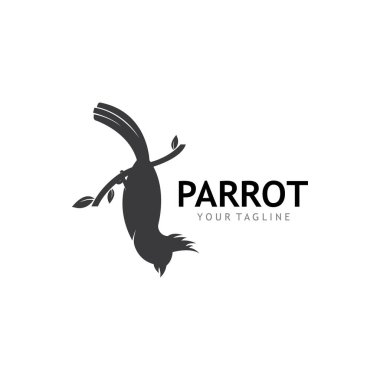 Papağan Logosu Tasarım Vektörü 