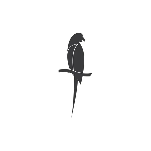 Papağan Logosu Tasarım Vektörü — Stok Vektör