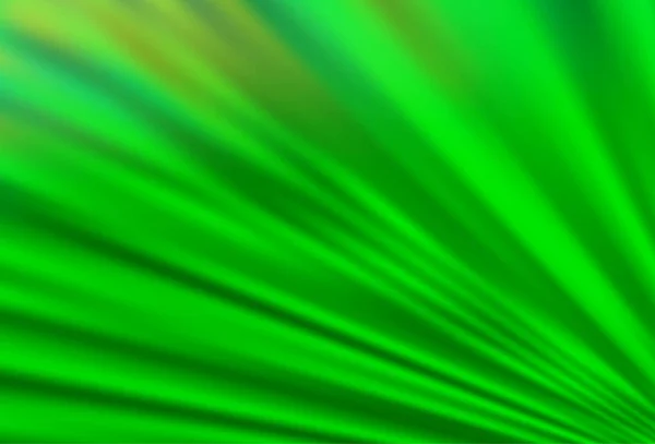 Textura Vetorial Verde Claro Com Linhas Coloridas — Vetor de Stock