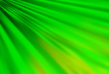 Düz çizgileri olan açık yeşil vektör düzeni.