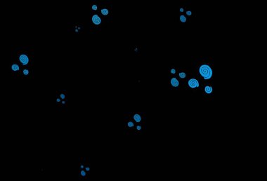 Sıvı şekilli koyu mavi vektör şablonu. Değişken çizgileri olan renkli soyut çizimler. İş tasarımınız için tamamen yeni bir şablon.