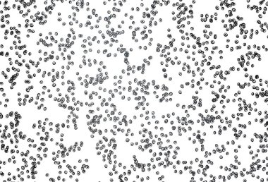 Dairesel Açık Siyah vektör şablonu. 