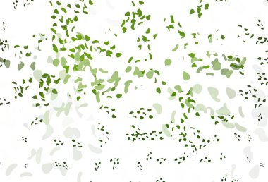 Karmaşık şekilli açık yeşil vektör deseni. 