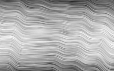 Açık Gümüş, dalgalı çizgileri olan gri vektör şablonu 