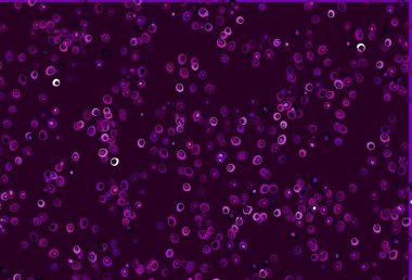 Light Purple vector background with bubbles. Beautiful colored illustration with blurred circles in nature style. Template for your brand book.