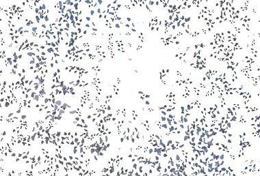 Soyut biçimlere sahip Açık Siyah vektör arkaplanı. 