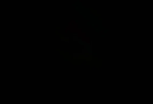 Dunkelsilberner Grauer Vektorhintergrund Mit Geraden Linien Leuchtend Farbige Illustration Mit — Stockvektor