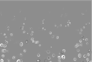 Light Silver, dairesel gri vektör şablonu. Parlak renkli soyut çemberlerin olduğu bir resim. Marka kitabınız için şablon.