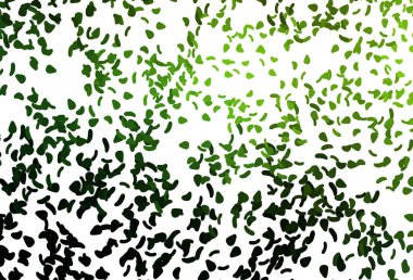 Kaotik şekilli açık yeşil vektör deseni. Rastgele şekillerle soyut tarzda dekoratif tasarım. Kartvizitiniz için modern tasarım.