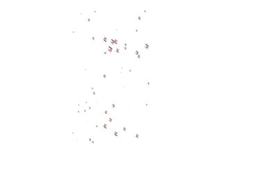 Cennet ülkesinin soyutlanmış kuşu.