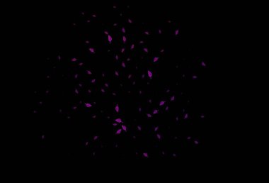 Soyut renkli yapraklarla dekoratif illüstrasyon. Web sitesi için desenli desen.