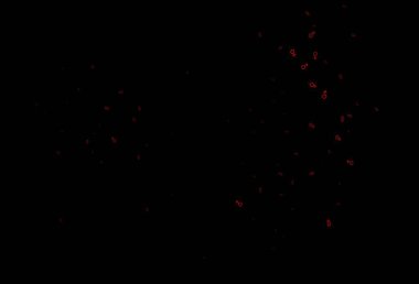 Soyut vektör şablonu arka planı, tam çerçeve duvar kağıdı 