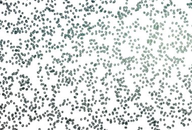 Çember şekilli soyut vektör düzeni. Doğa tarzında bulanık halkaları olan güzel renkli çizimler. Marka kitabın için tamamen yeni bir şablon. 