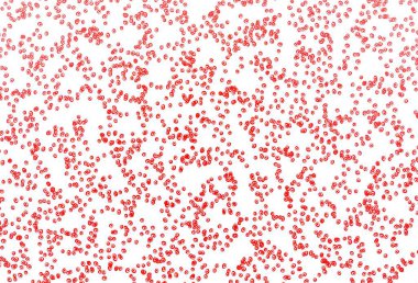 Açık kırmızı vektör benekli. Parlak renkli soyut çemberlerin olduğu bir resim. Marka kitabınız için şablon.