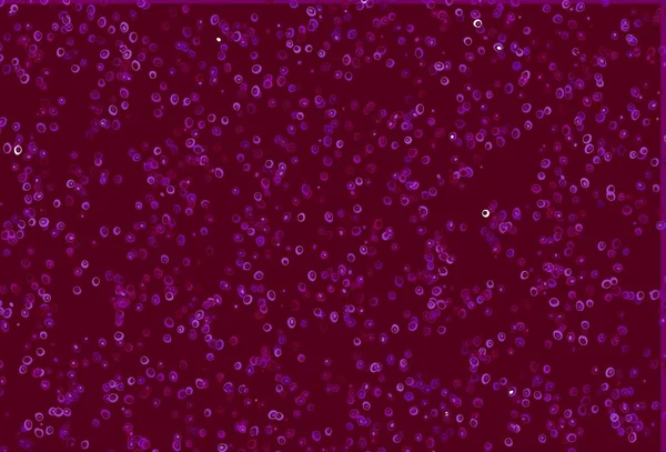 Jasnofioletowy Wektor Tła Kropkami Abstrakcyjna Ilustracja Kolorowymi Bąbelkami Stylu Natury — Wektor stockowy