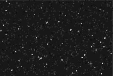 Çember şekilli soyut vektör düzeni. Doğa tarzında daireleri olan güzel renkli bir illüstrasyon. Marka kitabın için tamamen yeni bir şablon