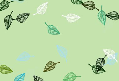 Açık yeşil, sarı vektör çizim arkaplanı. Karalama tarzında yaprakları olan belirsiz bir çizim. İşiniz için yepyeni bir tasarım..