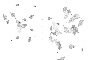 Light Silver, gri vektör karalama kapağı. Yapraklı basit bir illüstrasyon. Cep telefonlarının arkaplan şablonu.