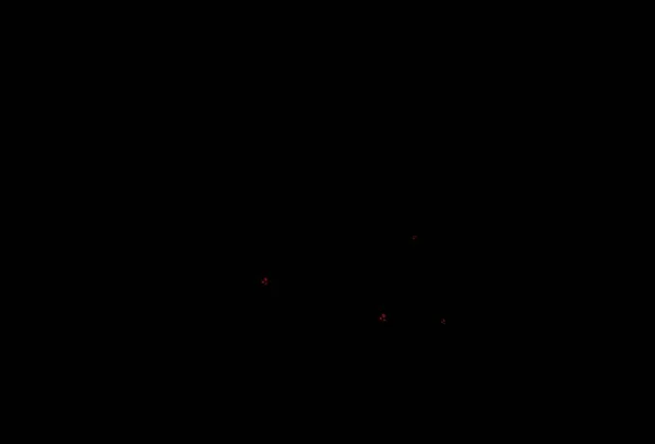 Темно Красный Векторный Узор Лямками Творческая Геометрическая Иллюстрация Мраморном Стиле — стоковый вектор
