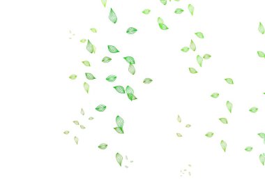 Açık yeşil vektör karalama arkaplanı. Soyut renkli yapraklarla dekoratif illüstrasyon. Duvar kağıtları ve boyama kitapları için desen.