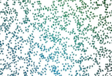 Açık mavi, küreli yeşil vektör deseni. Doğa tarzında renkli baloncuklu soyut illüstrasyon. Güzel web siteleri için desen.