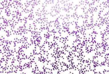 Lekeli açık mor vektör kapağı. Bulanık yağmur damlaları olan soyut bir çizim. Güzel web siteleri için desen.