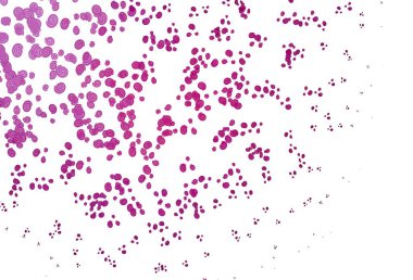 Kabarcık şekilli hafif Mor vektör arkaplanı. Eğilimli zarif, parlak bir çizim. Cep telefonu geçmişinin şablonu.