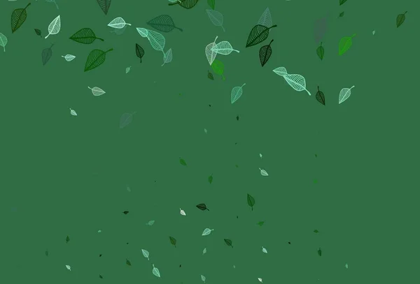 Светло Зеленая Векторная Текстура Декоративная Иллюстрация Абстрактными Красочными Листьями Ручная — стоковый вектор
