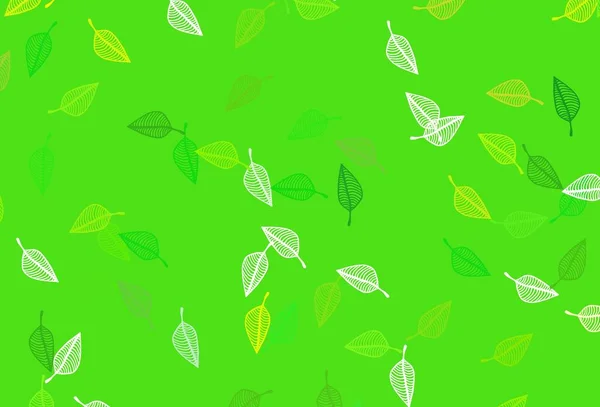 Vert Clair Texture Vectorielle Jaune Doodle Illustration Colorée Flambant Neuve — Image vectorielle