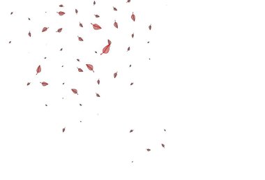 beyaz arkaplana düşen konfeti