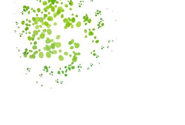 Yeşil daireli beyaz vektör arkaplanı 