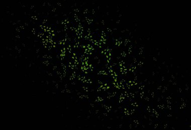 Koyu mavi, soyut şekilli kırmızı vektör arkaplan. Renkli rastgele şekillerle modern soyut illüstrasyon. Bir cep telefonu için arka plan.